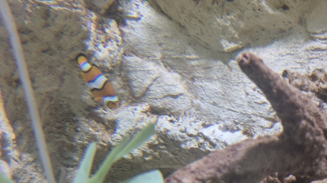 ../images/fotoalbum/lanzarote23/2023-09-18 10.50.09